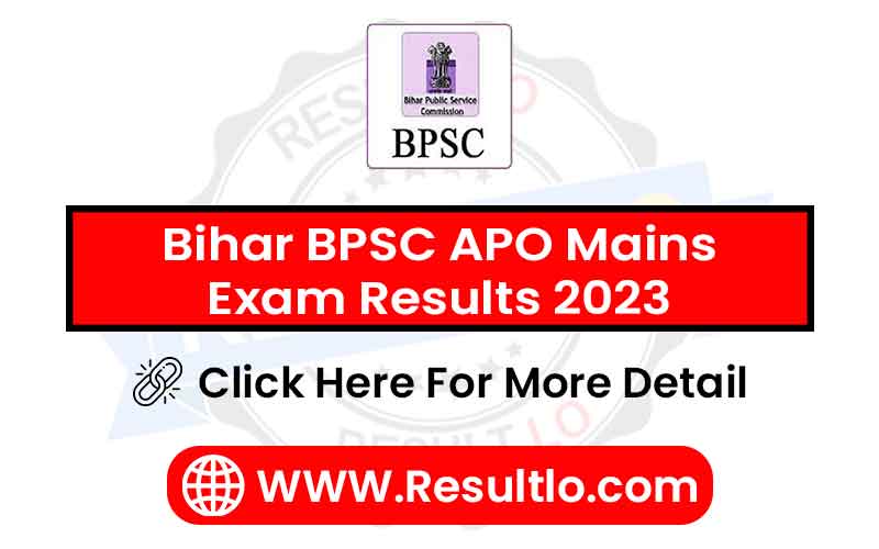 Bihar BPSC APO Mains Exam Results 2023